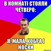 В комнаті стояли четверо: Я, мала, кобра і носки