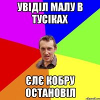 увіділ малу в тусіках єлє кобру остановіл