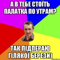 а в тебе стоїть палатка по утрам? так підпераю гілякої берези)