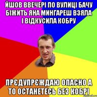 ЙШОВ ВВЕЧЕРІ ПО ВУЛИЦІ БАЧУ БІЖИТЬ ЯНА МИНГАРЕШ ВЗЯЛА І ВІДКУСИЛА КОБРУ ПРЄДУПРЄЖДАЮ ОПАСНО А ТО ОСТАНЕТЕСЬ БЕЗ КОБРІ