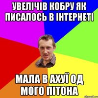 увелічів кобру як писалось в інтернеті мала в ахуї од мого пітона