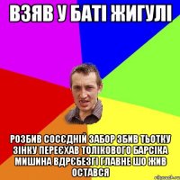 взяв у баті жигулі розбив сосєдній забор збив тьотку зінку переєхав толікового барсіка мишина вдрєбезгі главне шо жив остався