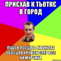 приєхав к тьоткє в город пішов посцять на унітаз обосцяв кружок спер всє на мурчика