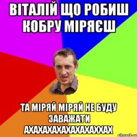 Віталій що робиш кобру міряєш та міряй міряй Не буду заважати ахахахахахахахаххах