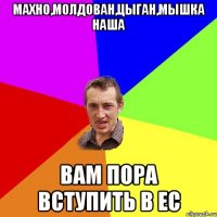 Махно,Молдован,Цыган,мышка наша Вам пора вступить в ЕС