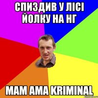 спиздив у лісі йолку на НГ mam ama kriminal