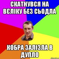 Скатнувся на вєліку без сьодла Кобра залізла в дупло