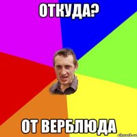 откуда? от верблюда