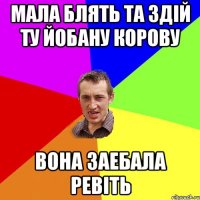 МАЛА БЛЯТЬ ТА ЗДІЙ ТУ ЙОБАНУ КОРОВУ ВОНА ЗАЕБАЛА РЕВІТЬ