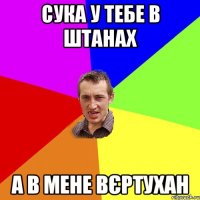 сука у тебе в штанах а в мене вєртухан