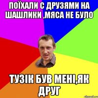 Поїхали с друзями на шашлики ,мяса не було Тузік був мені,як друг