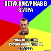 Петух кукурікав в 3 утра Рому весь день розпитували чого не спалось