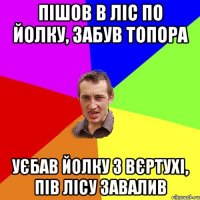 ПІШОВ В ЛІС ПО ЙОЛКУ, ЗАБУВ ТОПОРА УЄБАВ ЙОЛКУ З ВЄРТУХІ, ПІВ ЛІСУ ЗАВАЛИВ