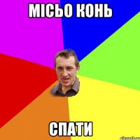 місьо конь спати