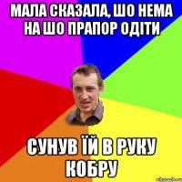 Мала сказала, шо нема на шо прапор одіти сунув їй в руку кобру