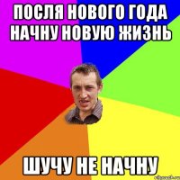 посля нового года начну новую жизнь шучу не начну