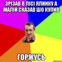 зрізав в лісі ялинку а малій сказав шо купив горжусь