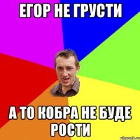 Егор не грусти а то кобра не буде рости