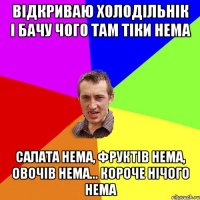 ВІДКРИВАЮ ХОЛОДІЛЬНІК І БАЧУ ЧОГО ТАМ ТІКИ НЕМА САЛАТА НЕМА, ФРУКТІВ НЕМА, ОВОЧІВ НЕМА... КОРОЧЕ НІЧОГО НЕМА