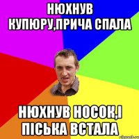 НЮХНУВ КУПЮРУ,ПРИЧА СПАЛА НЮХНУВ НОСОК,І ПІСЬКА ВСТАЛА