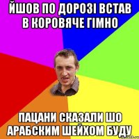 йшов по дорозі встав в коровяче гімно пацани сказали шо арабским шейхом буду