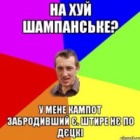 на хуй шампанське? у мене кампот забродивший є. штире нє по дєцкі