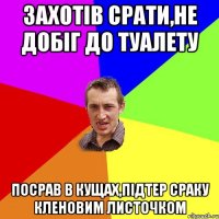 Захотів срати,не добіг до туалету Посрав в кущах,підтер сраку кленовим листочком