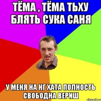 Тёма , Тёма тьху блять сука Саня У меня на НГ хата полность свободна вериш