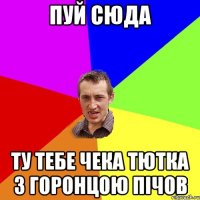 Пуй сюда ту тебе чека тютка з горонцою пічов