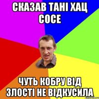 сказав тані хац сосе чуть кобру від злості не відкусила