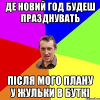 Де новий год будеш празднувать Після мого плану у жульки в буткі