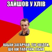 ЗАЙШОВ У ХЛІВ КАБАН ЗАГАРЧАВ, ТІК ЗВІДТИ, ШО АЖ ТАПОЧКИ ГУБИВ