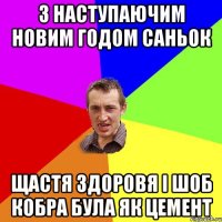 з наступаючим новим годом Саньок щастя здоровя і шоб кобра була як цемент