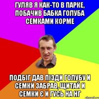 гуляв я как-то в парке, побачив бабка голуба семками корме подбіг дав пізди голубу и семки забрав, щитай и семки є и гусь на нг