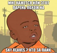 Мне кажется или этот парень похож на Sky Reaves ? Кто за лайк.