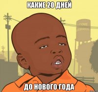 какие 20 дней до нового года