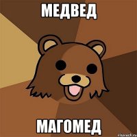 медвед магомед