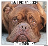 Нам тоже можно Ебать логику