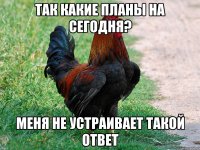 Так какие планы на сегодня? Меня не устраивает такой ответ