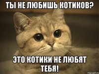 Ты не любишь котиков? это котики не любят тебя!