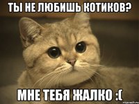 Ты не любишь котиков? Мне тебя жалко :(