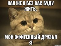 Как же я без вас буду жить, мои офигенный друзья :3