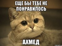 еще бы тебе не понравилось ахмед