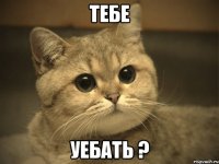 Тебе уебать ?