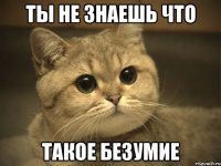 ты не знаешь что такое безумие