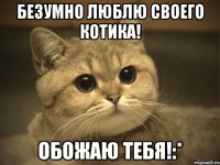 Безумно люблю своего котика! Обожаю тебя!:*