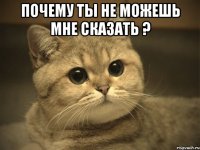 почему ты не можешь мне сказать ? 