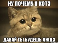 ну почему я котэ давай ты будешь людэ