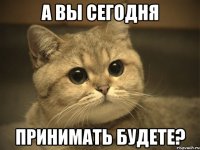 А вы сегодня принимать будете?