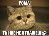 Рома, ты же не откажешь?